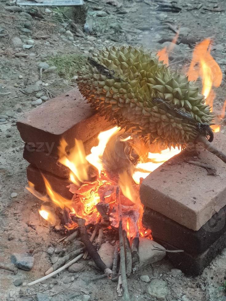 selezionare la messa a fuoco, il durian viene posizionato su una stufa a carbone che viene riscaldata a foto