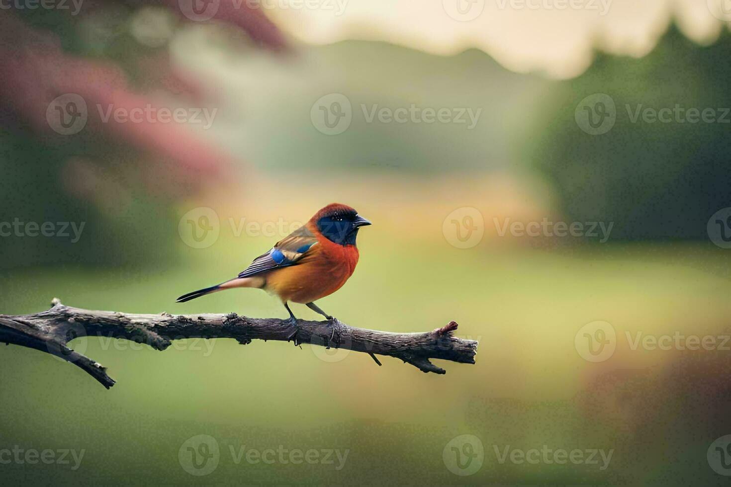 un' colorato uccello si siede su un' ramo nel il campo. ai-generato foto