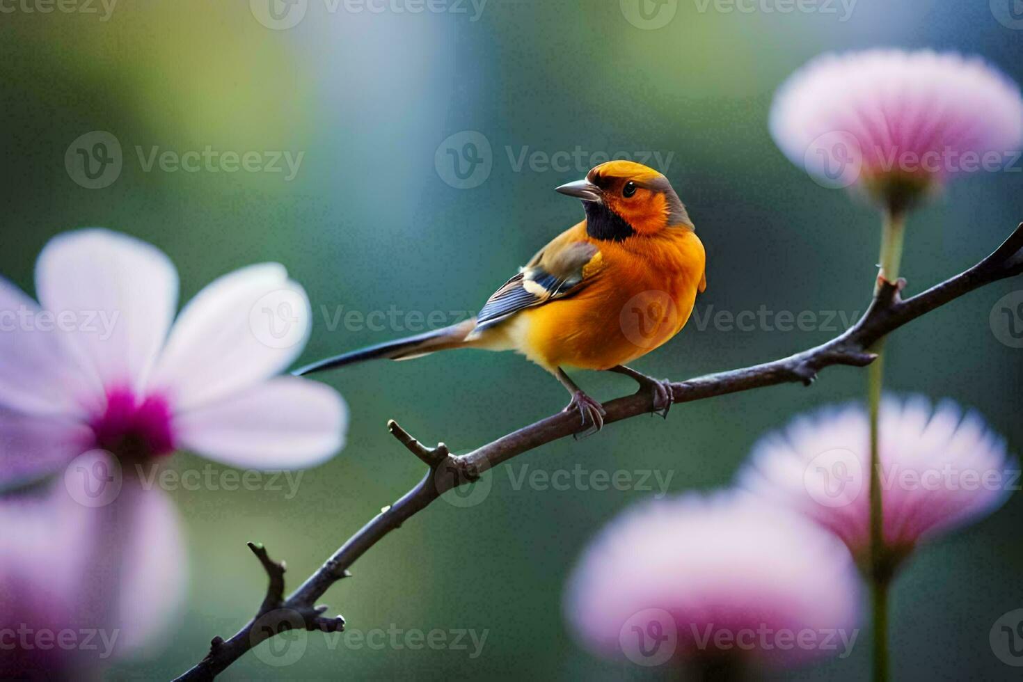 foto sfondo fiori, il cielo, uccelli, il uccello, il uccello, il uccello, il. ai-generato