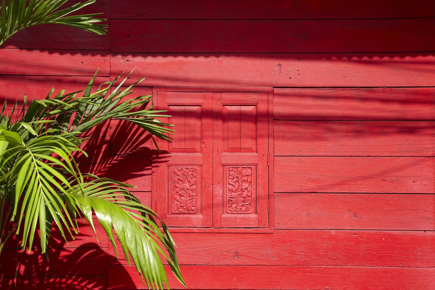 muro di legno rosso e albero asiatico foto