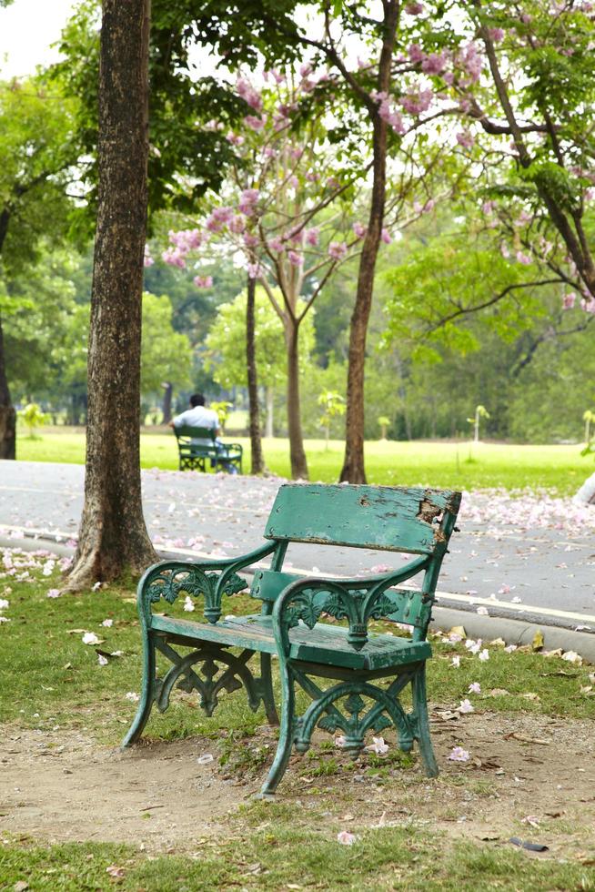 sedia in legno verde nel parco foto