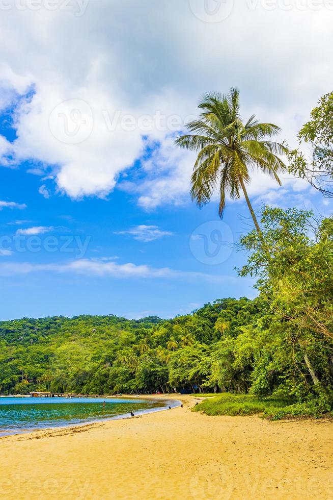 spiaggia di mangrovie e pouso sull'isola tropicale ilha grande brasile. foto