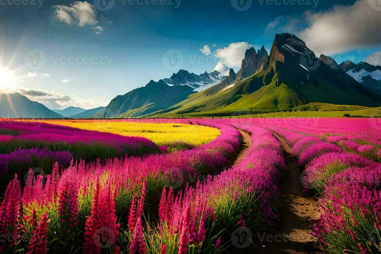 il sole brilla brillantemente al di sopra di un' campo di viola fiori. ai-generato foto