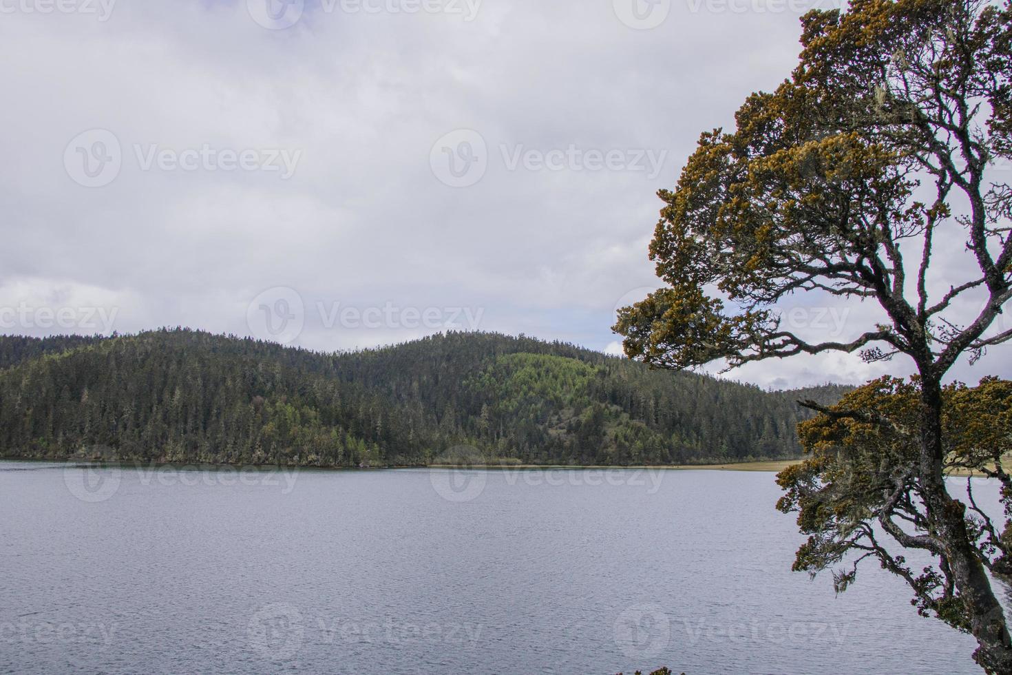 lago di montagna nel parco nazionale di pudacuo a shangri la, yunnan china foto