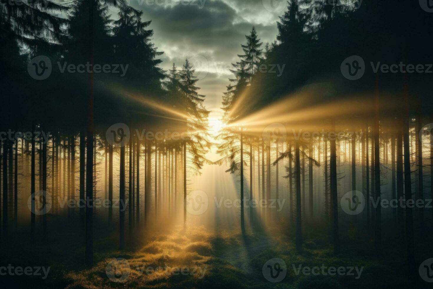superiore Visualizza, pino foresta nel il piovoso stagione con luce del sole. generativo ai foto