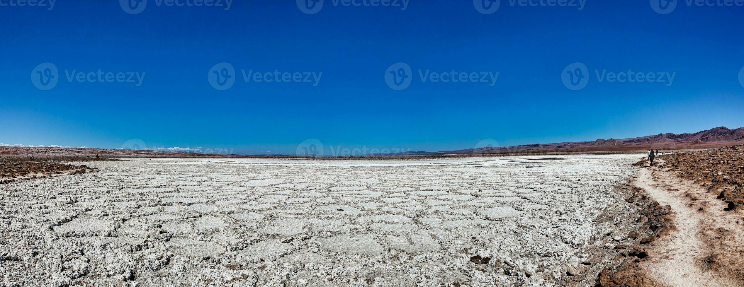 paesaggio di il nascosto baltinache lagune - atacama deserto - chile. foto