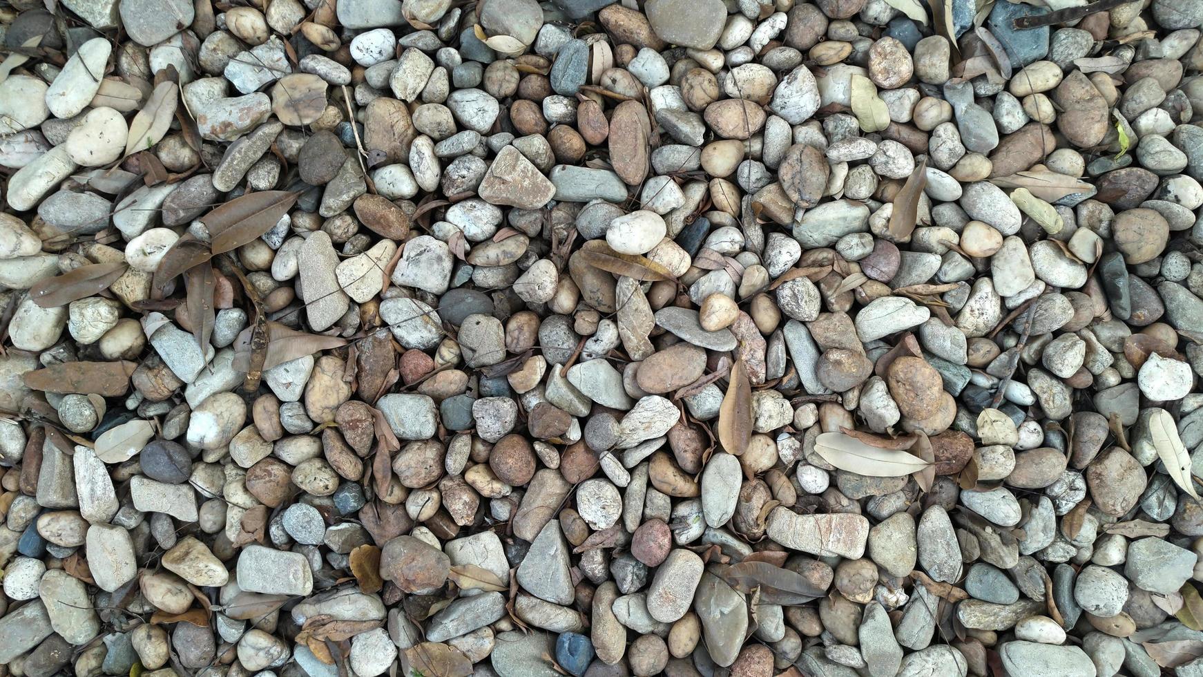 modello di sfondo di rocce e foglie sporche. foto