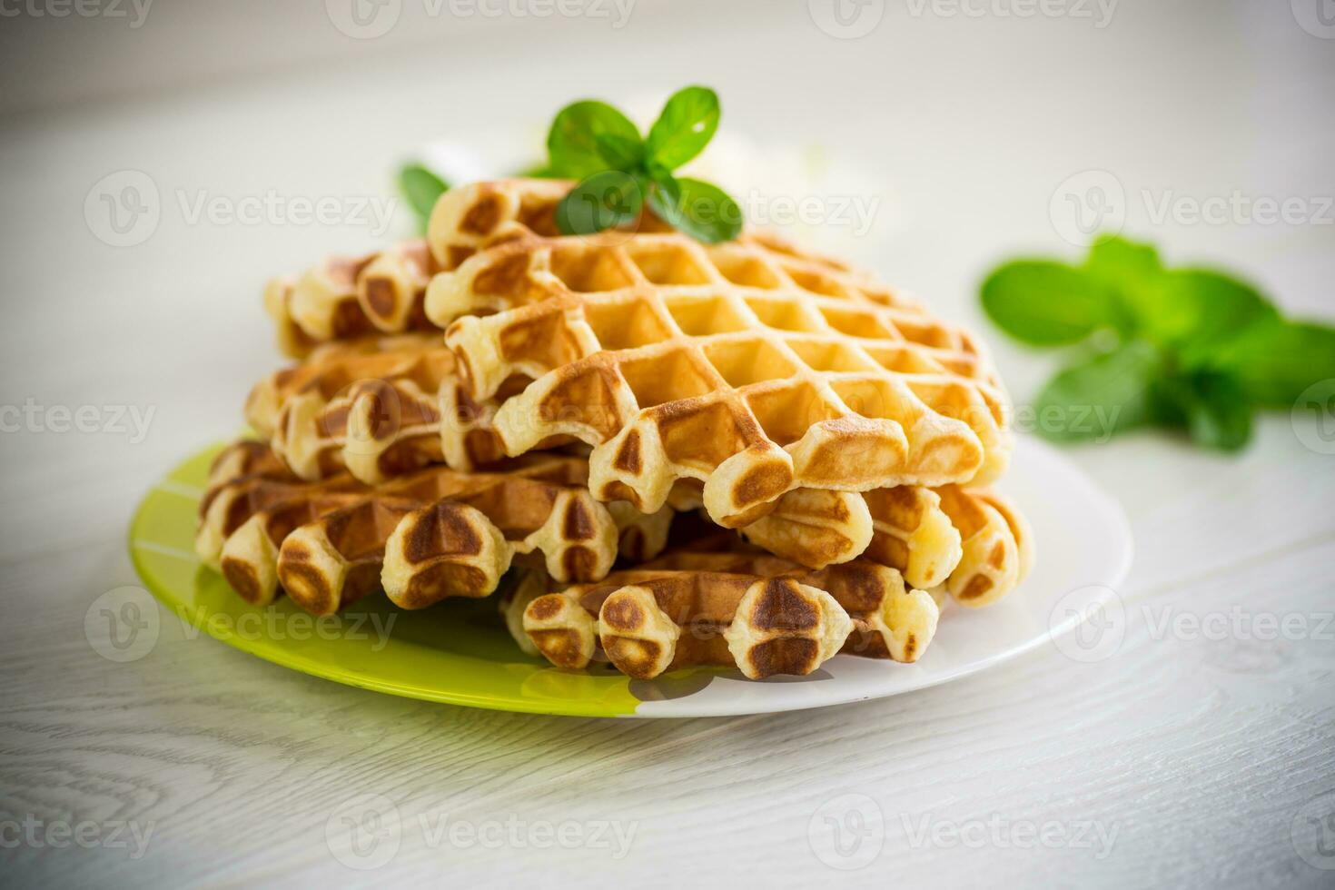 dolce Villetta formaggio wafer con un' rametto di menta nel un' piatto foto