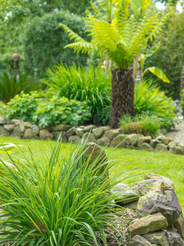 estate nel il giardino foto