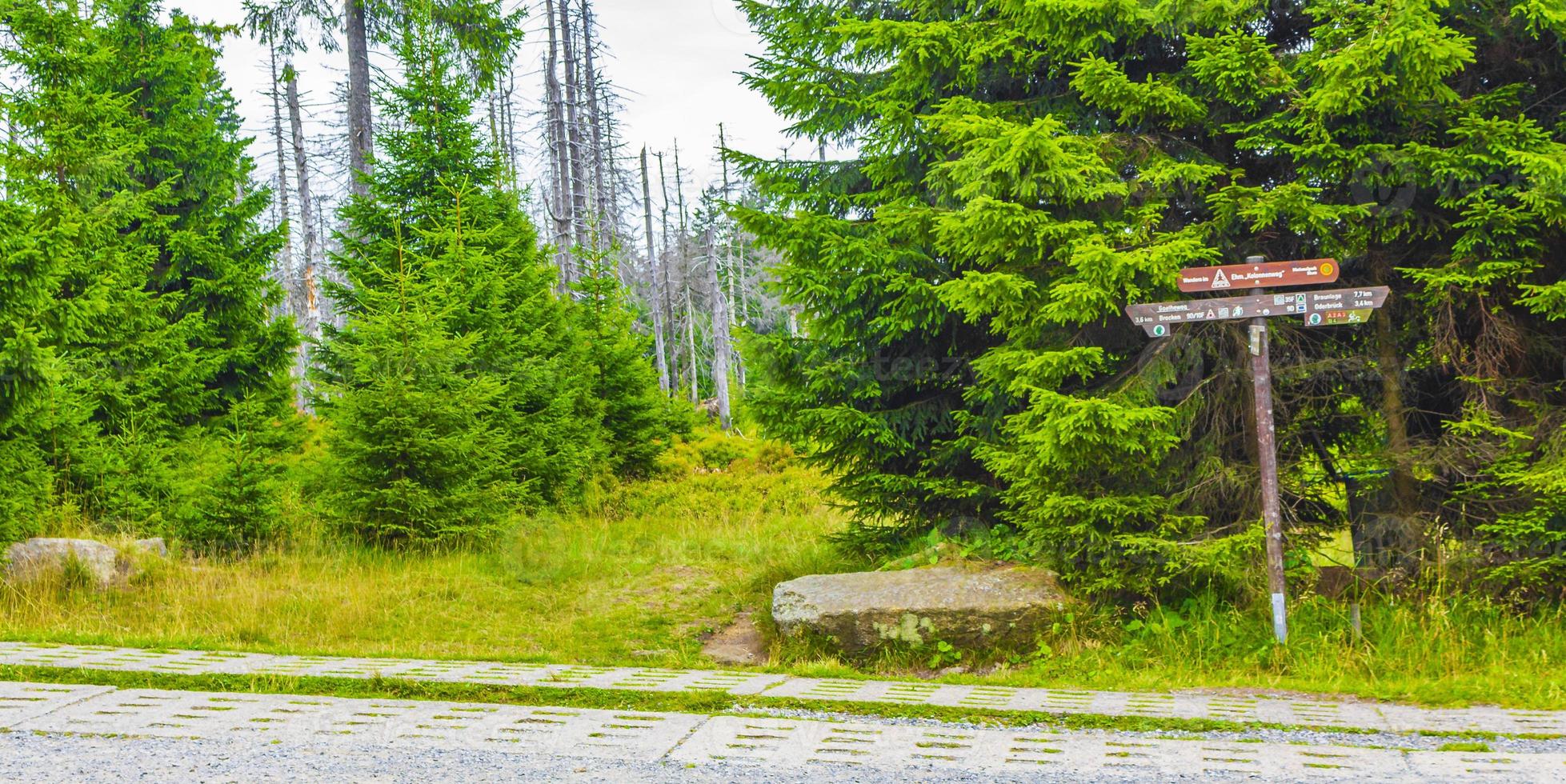 foresta con percorso a piedi e segnali di direzione brocken harz germania. foto