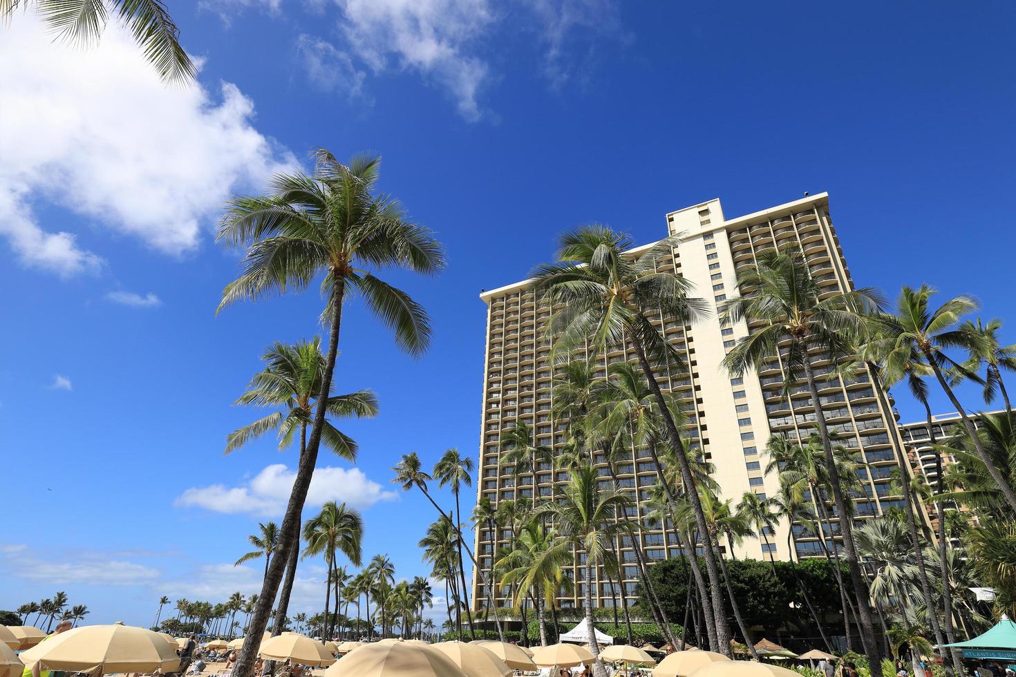 hotel di lusso e palme sulla spiaggia di waikiki, hawaii foto