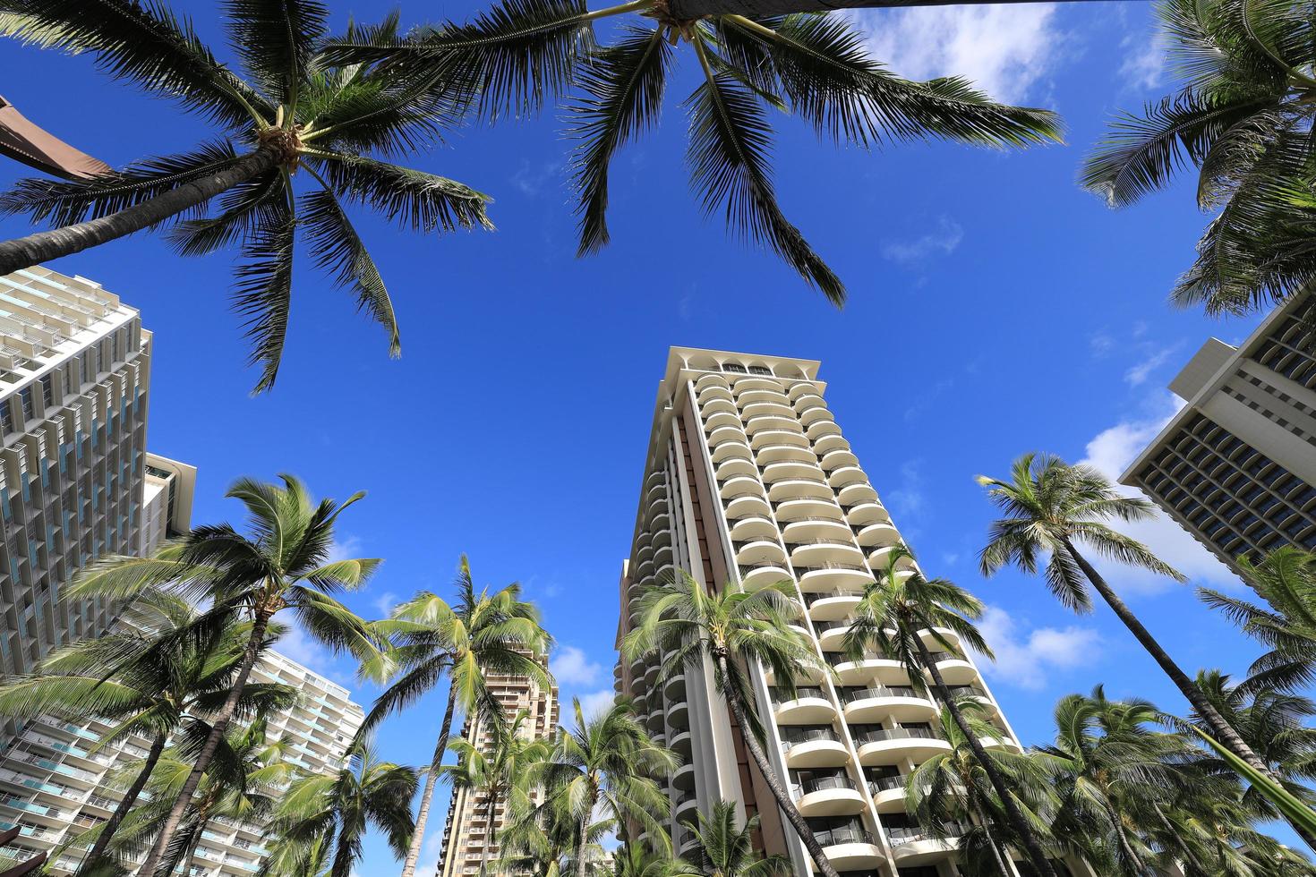 hotel di lusso e palme sulla spiaggia di waikiki, hawaii foto