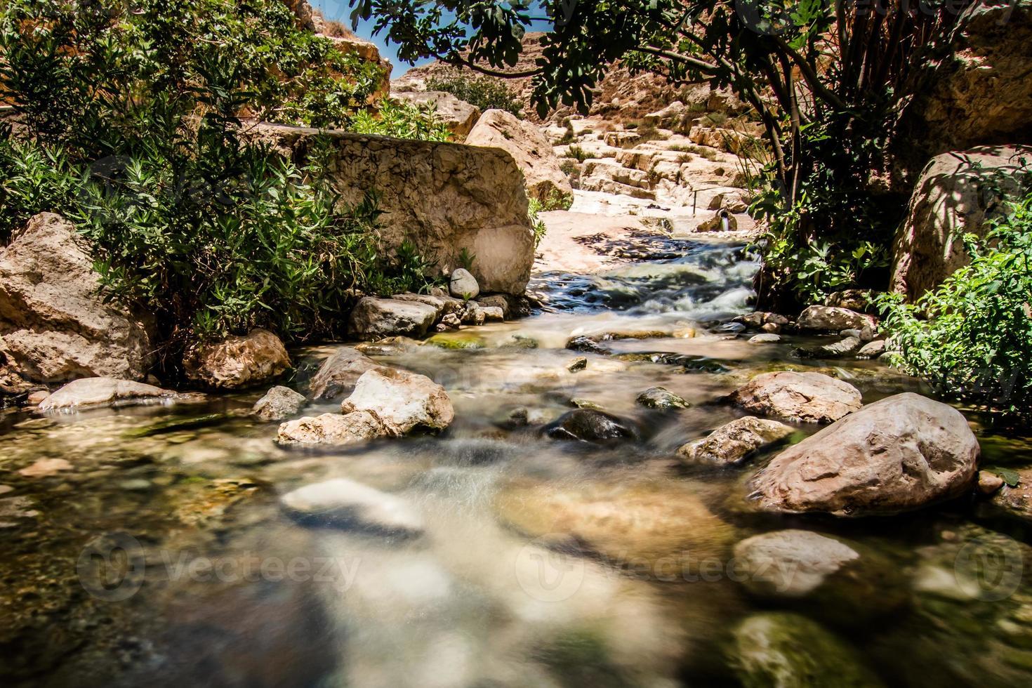 piccolo fiume in israele foto