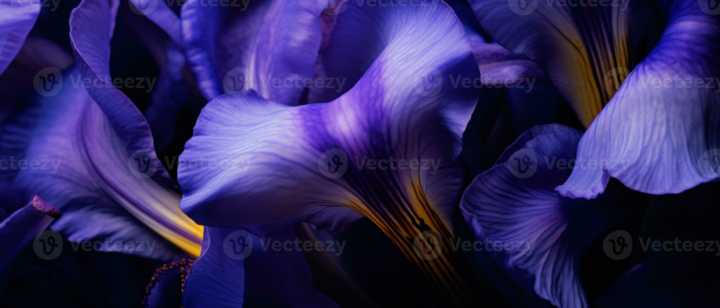 avvicinamento di un iris fioritura. ai generativo foto