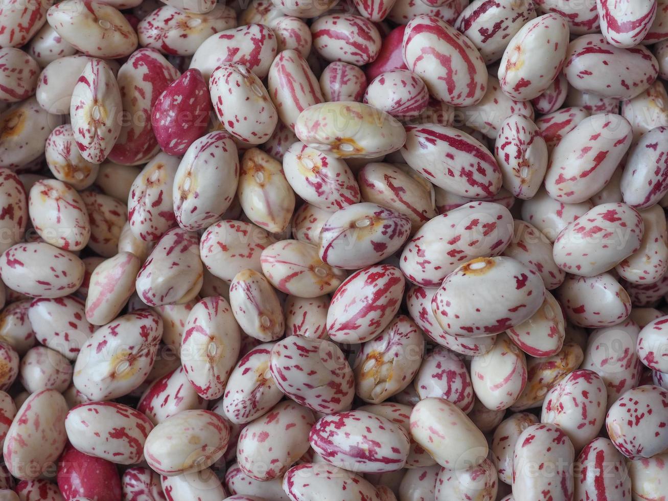 primo piano di fagioli cremisi foto