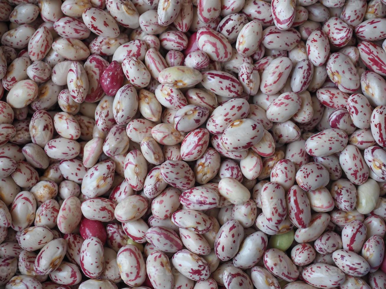 primo piano di fagioli cremisi foto