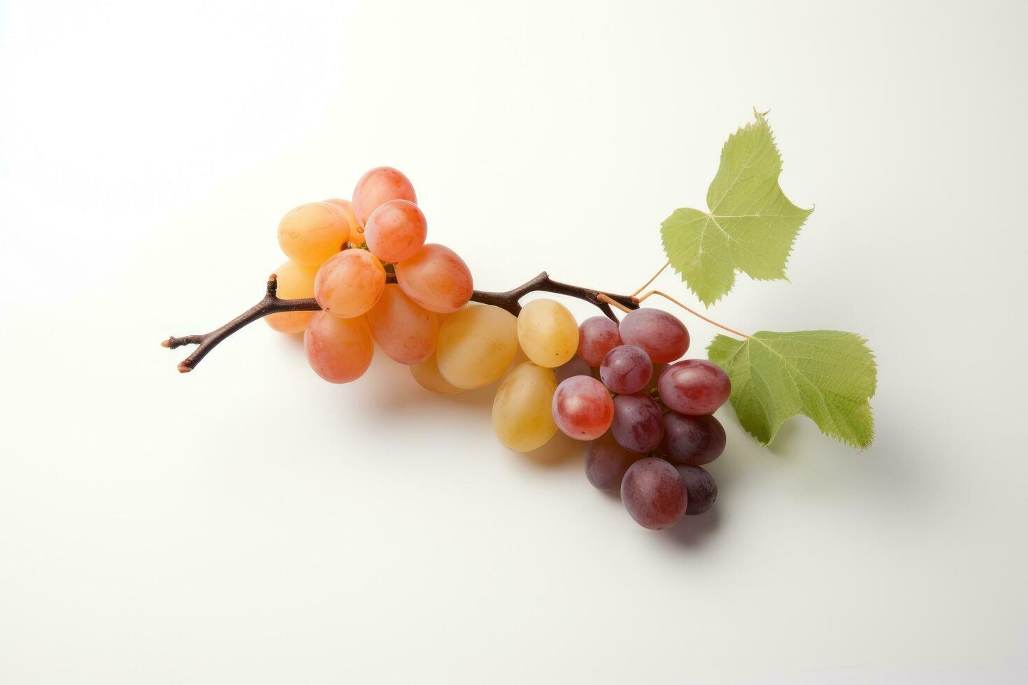 mazzo di rosso e giallo uva su bianca sfondo con verde foglie, Due Pesche e uva ramo su bianca sfondo, ai generato foto