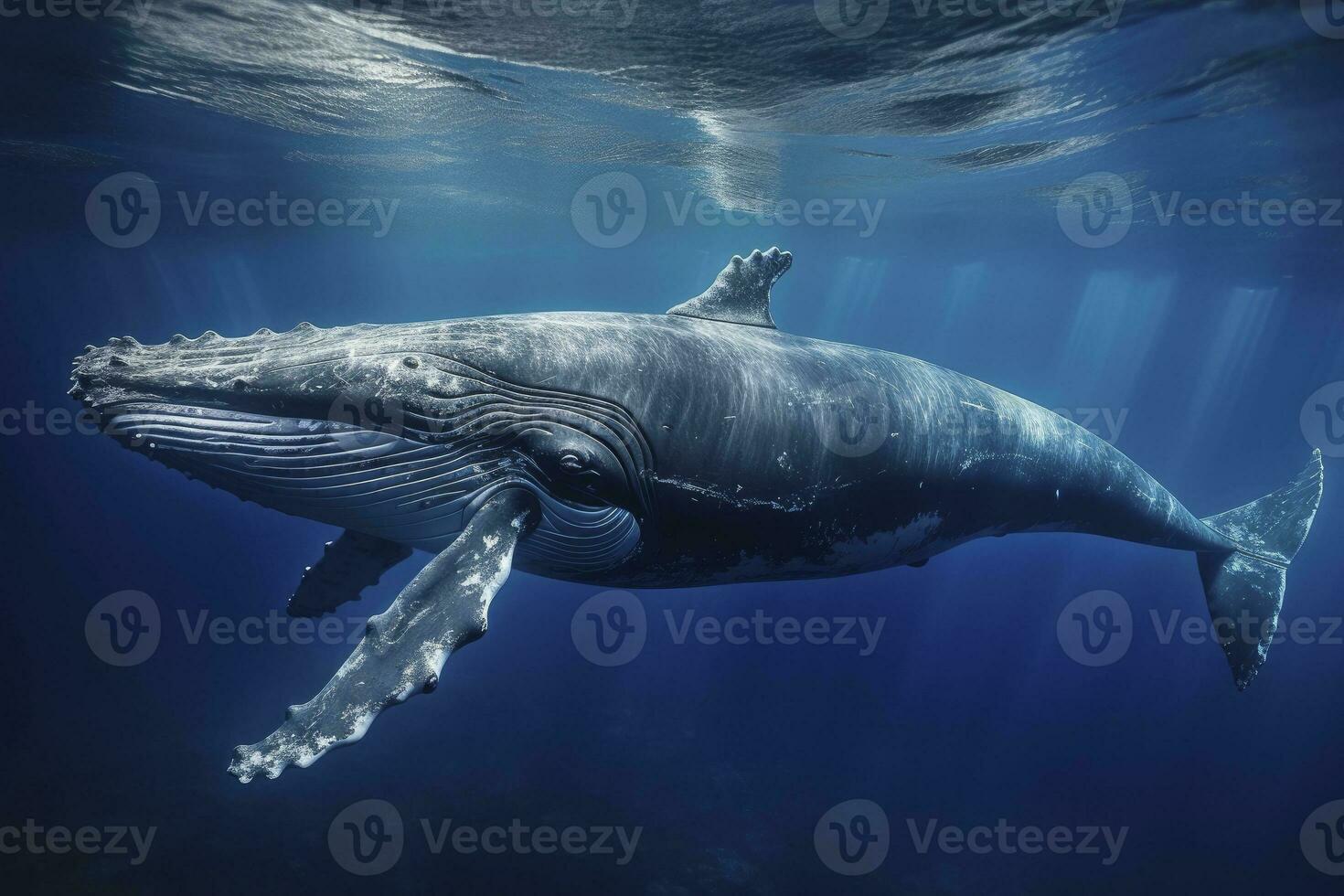 giovane gobba balena nel blu acqua. ai generato foto