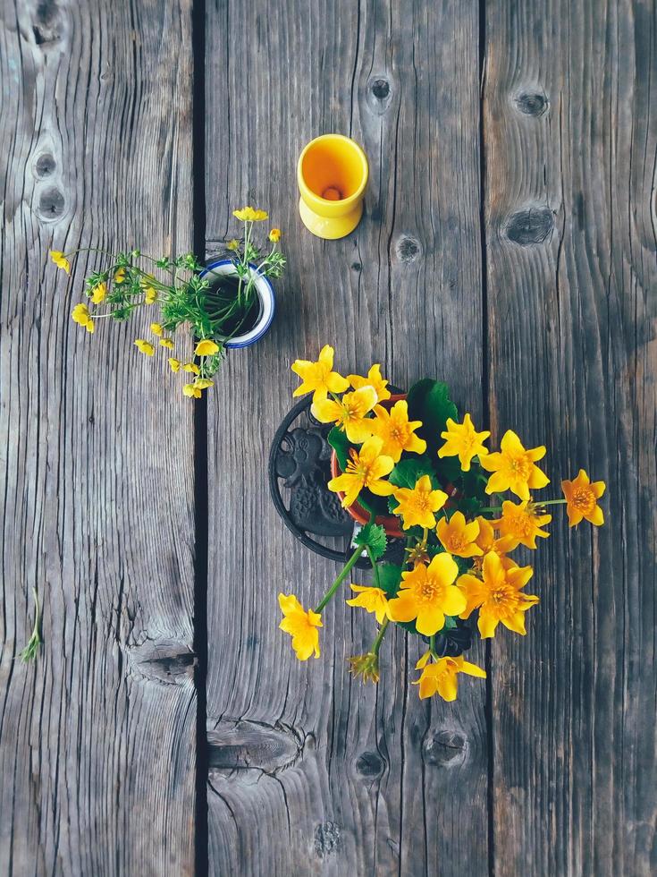 fiori gialli di campo in vasi colorati vista dall'alto foto