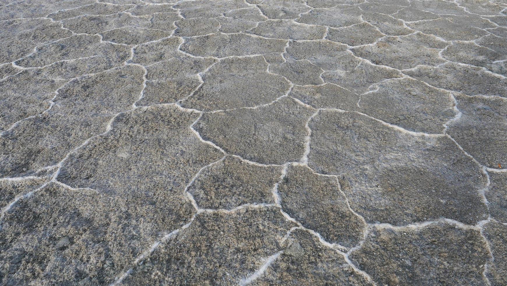 natura crepa terra texture di sfondo in smeraldo lago salato cina foto