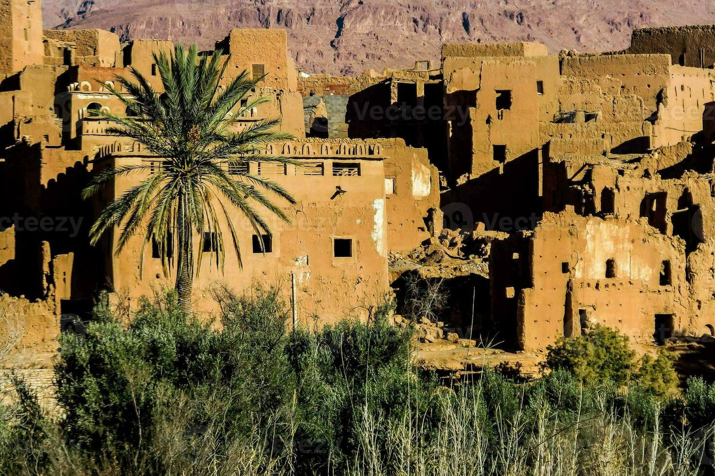 il deserto è pieno di vecchio edifici e palma alberi foto