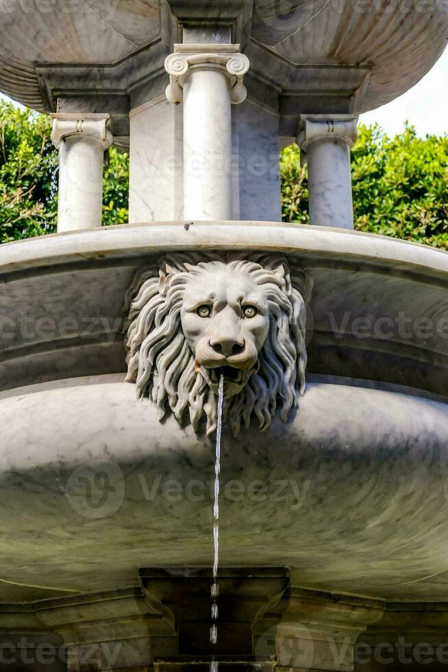 Fontana con un' Leone testa foto