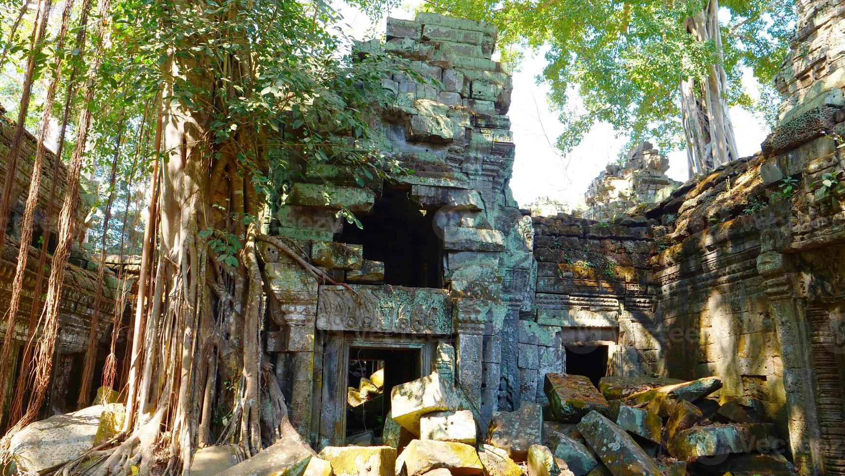 ta prohm tempio nel complesso di angkor wat, siem reap cambogia. foto
