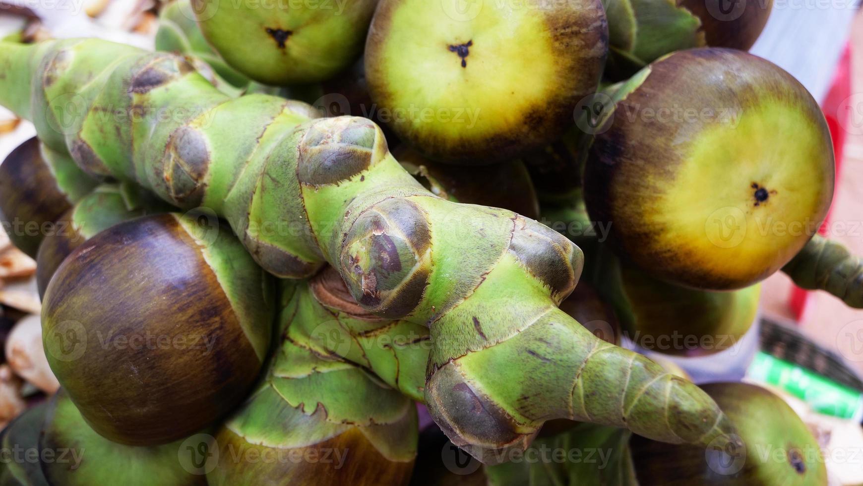 palma asiatica palmyra, palma da zucchero toddy palm fruit. foto