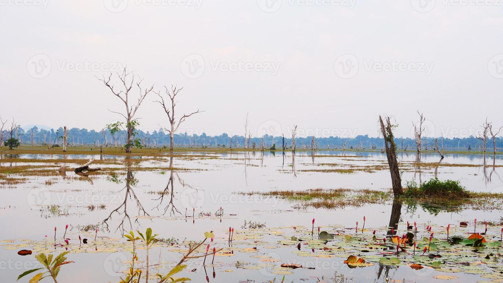 stagno del lago a neak poan nel complesso di angkor wat, siem reap cambogia. foto