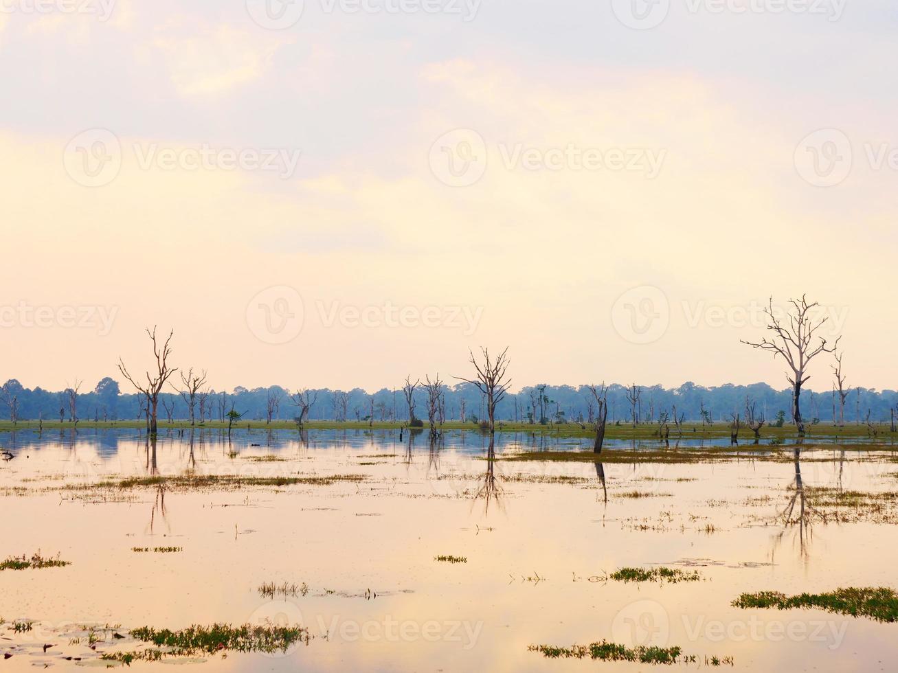 stagno del lago a neak poan nel complesso di angkor wat, siem reap cambogia. foto