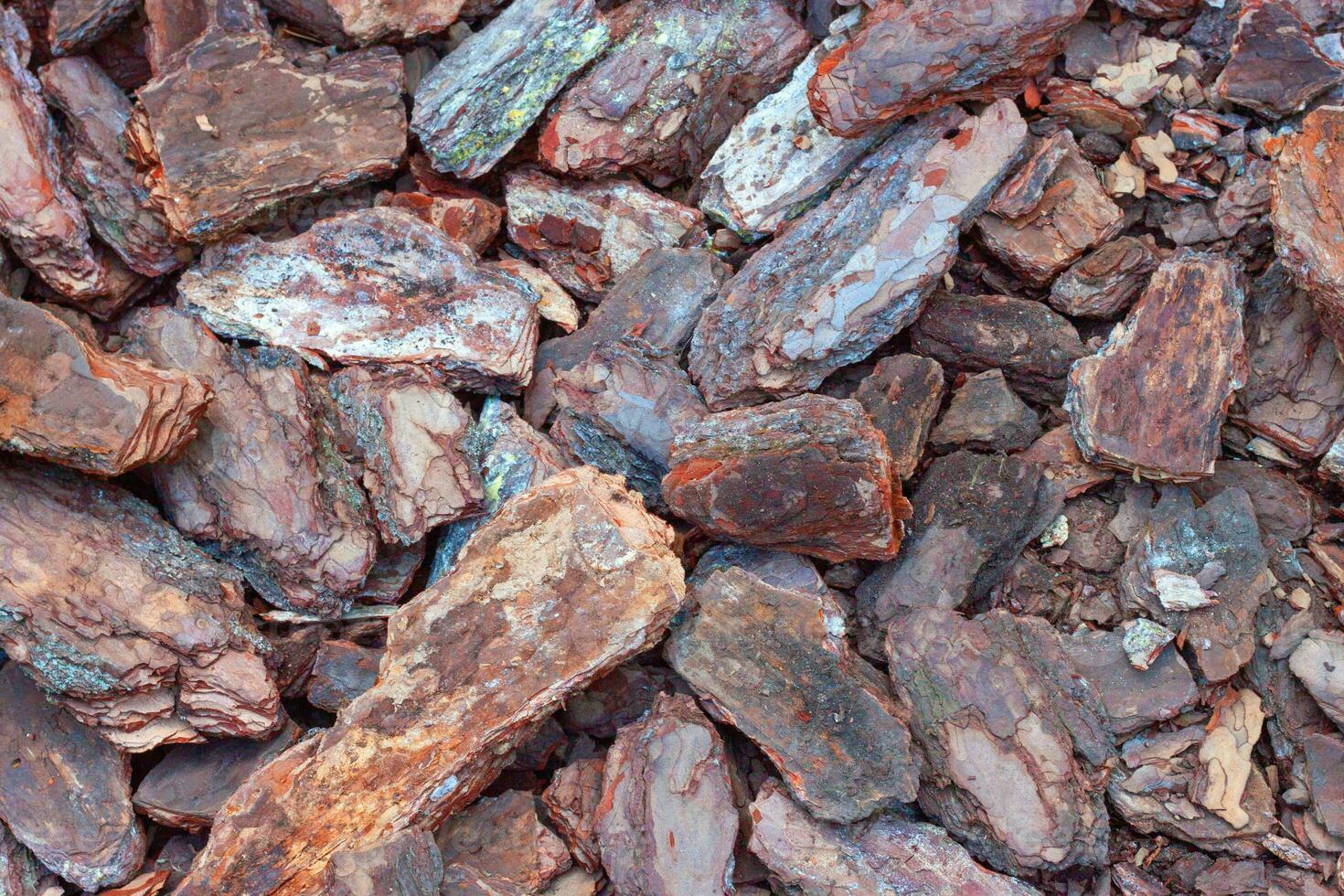 sfondo legnoso quercia abbaiare Marrone, superiore Visualizza. ruvido naturale struttura vicino su. ai generato. foto