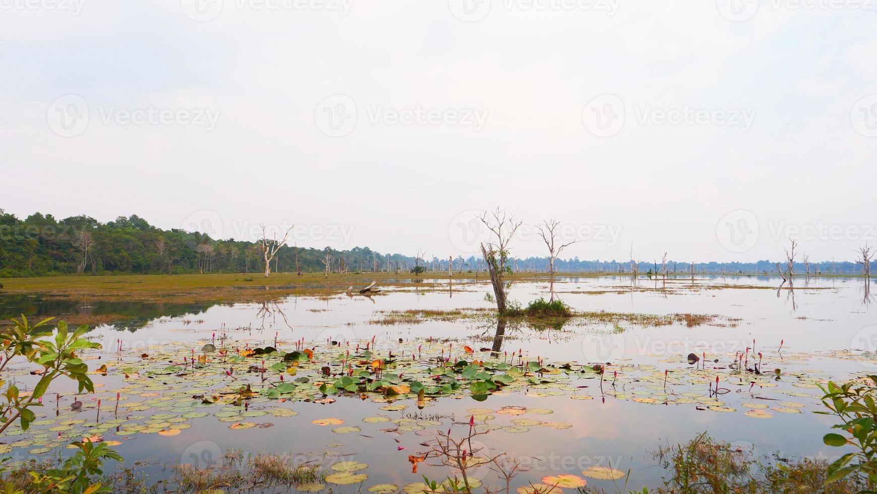 stagno del lago a neak poan nel complesso di angkor wat, siem reap cambogia. foto