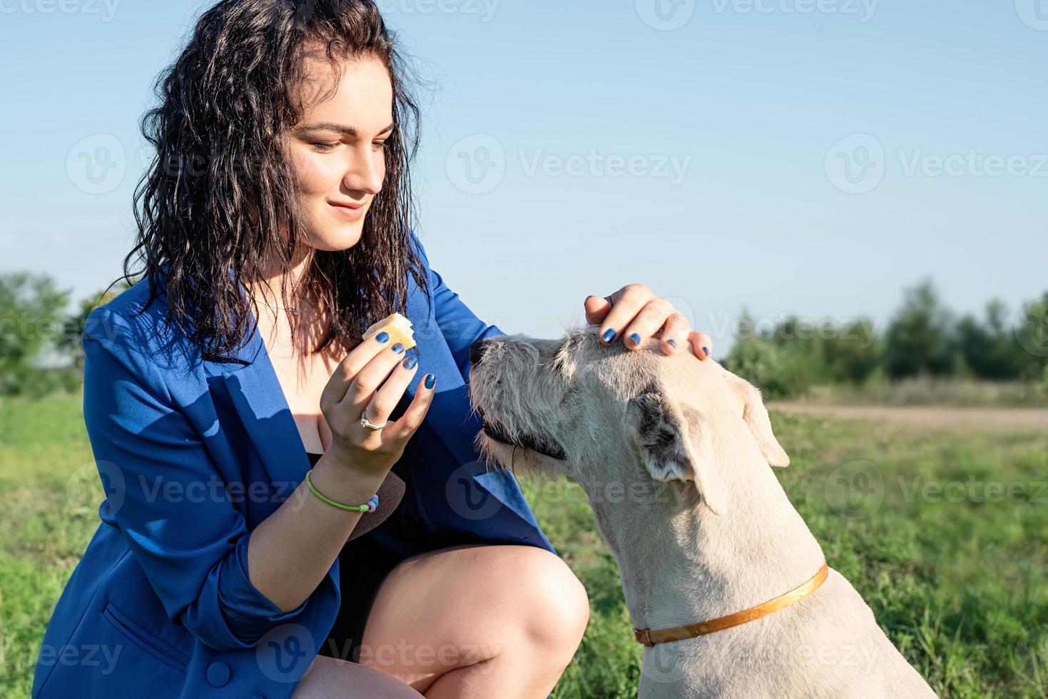 giovane donna attraente che dà da mangiare al suo cane nel parco in estate day foto