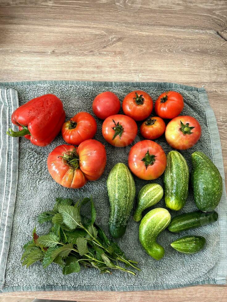 fresco verdure. insalata ingredienti. cetrioli e pomodori, insalata verdura salutare verdura nutrizione. peso perdita programma. mucchio di totale bagnato pomodori e cetrioli su grigio spugna asciugamano. superiore Visualizza punto foto