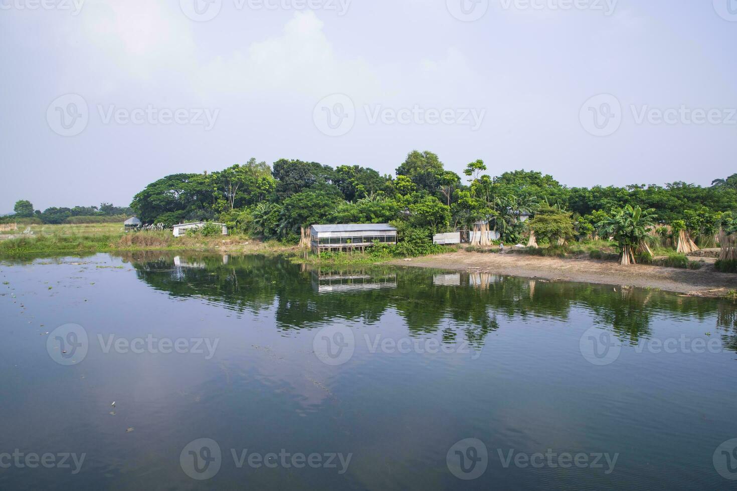 riflessione di alberi nel il lago acqua contro il blu cielo paesaggio campagna nel bangladesh foto