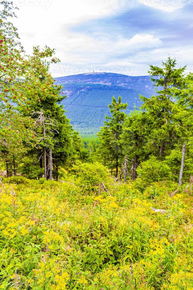 panorama panorama sulla cima del monte brocken harz germania foto