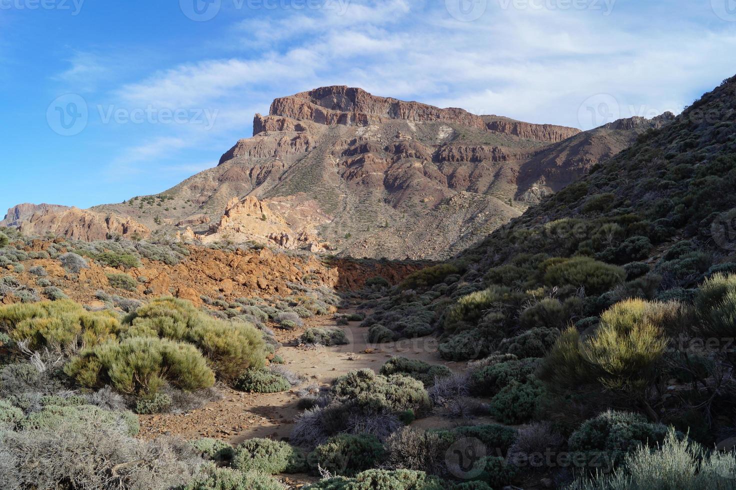 tenerife - isole canarie foto