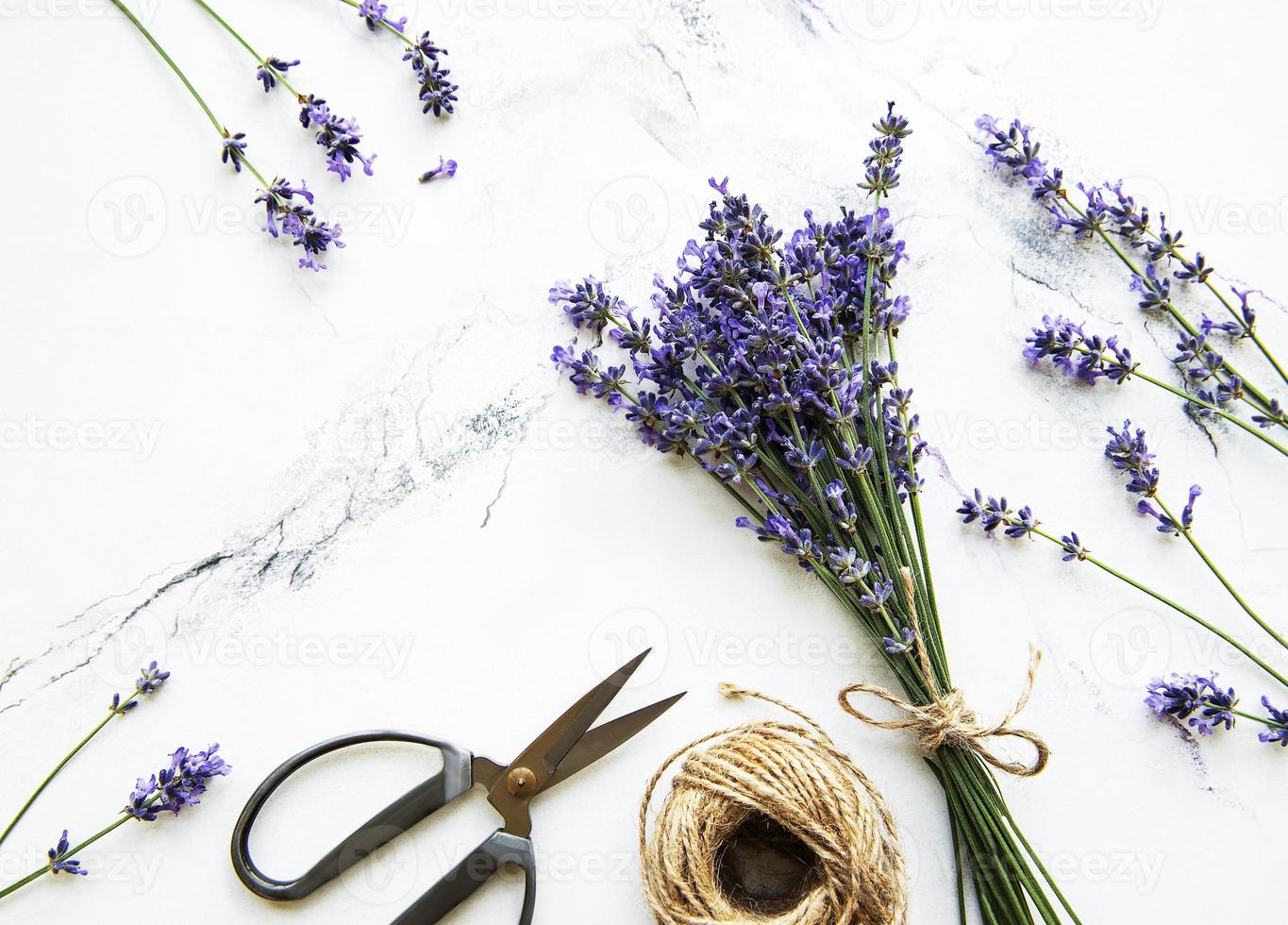 fiori di lavanda, forbici e corda foto