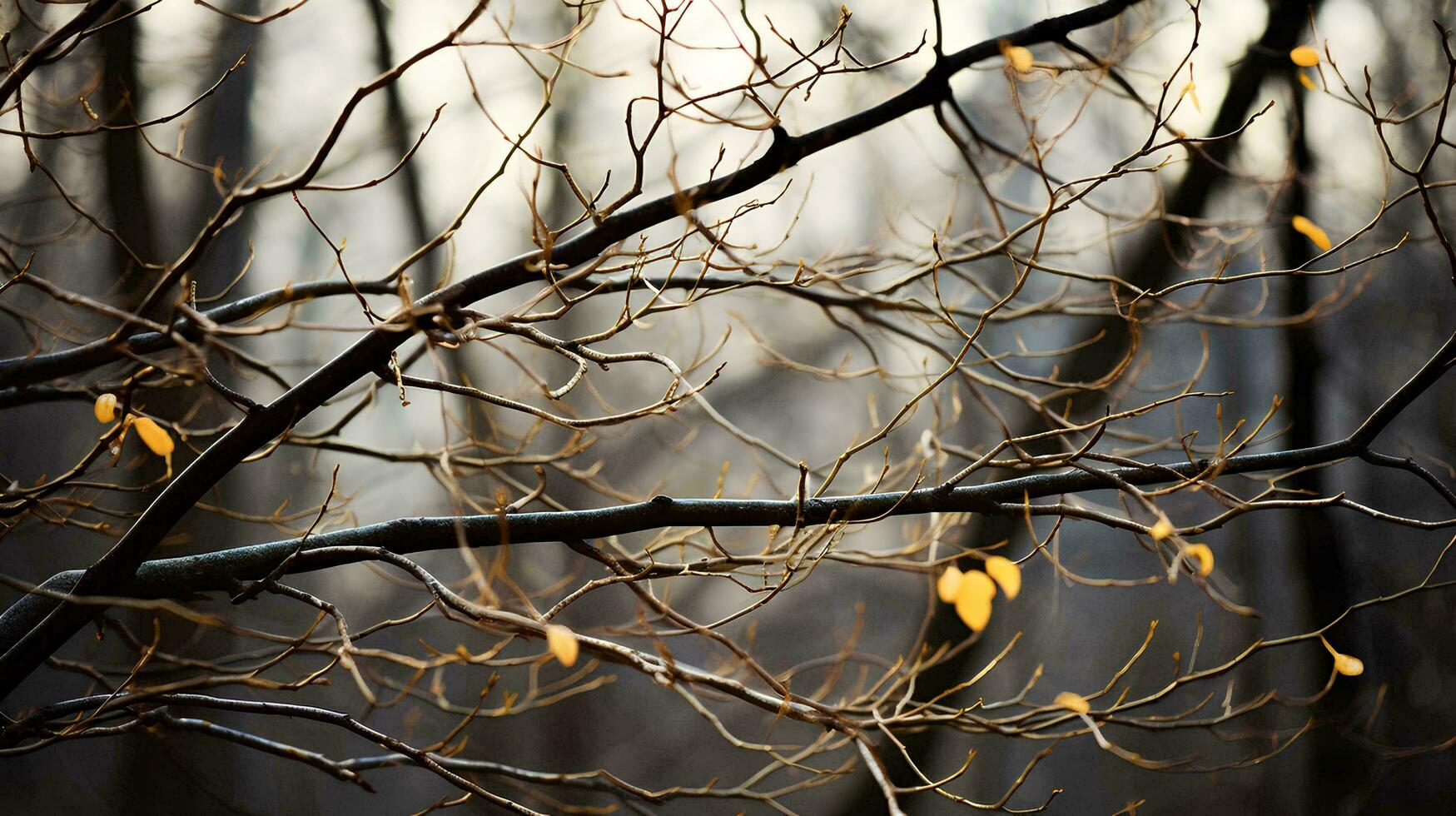 lussureggiante alberi con no le foglie sinistra solo ramoscelli e rami, ai generativo foto