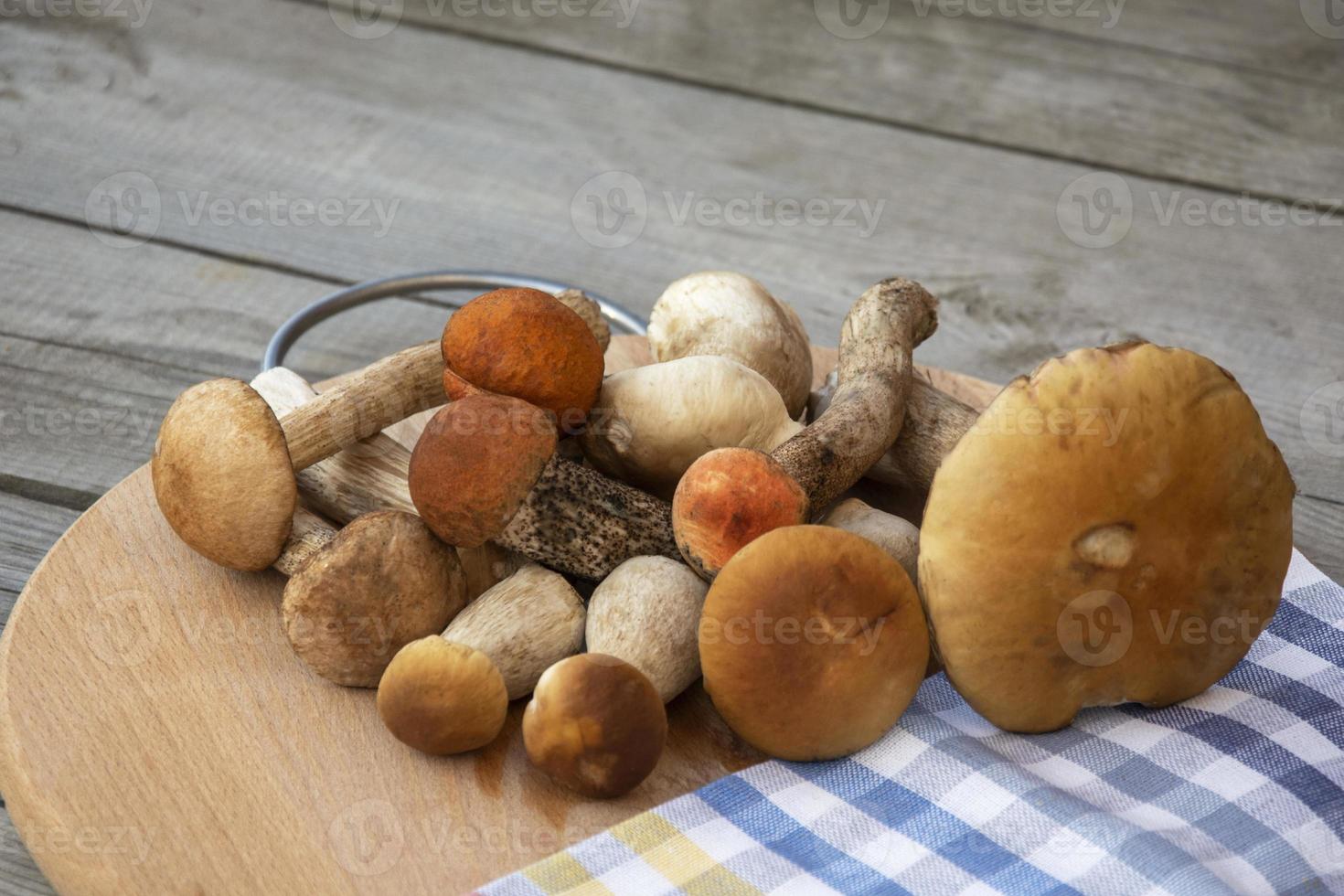 un mucchio di funghi. giacciono funghi porcini e porcini foto