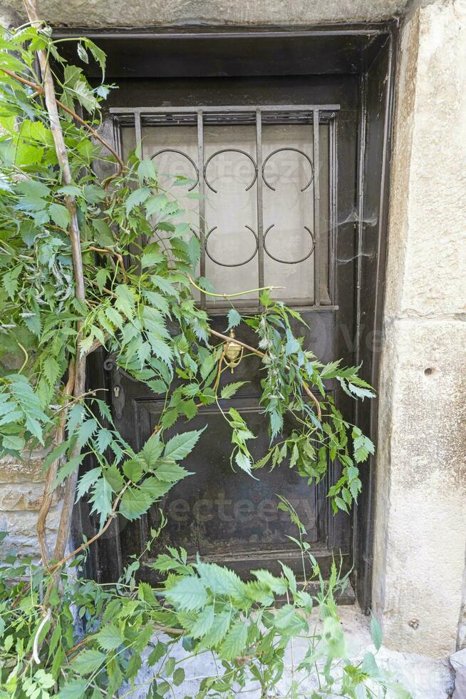 Immagine di un' Marrone coperto di vegetazione Ingresso porta per un' Residenziale edificio con un antico facciata foto