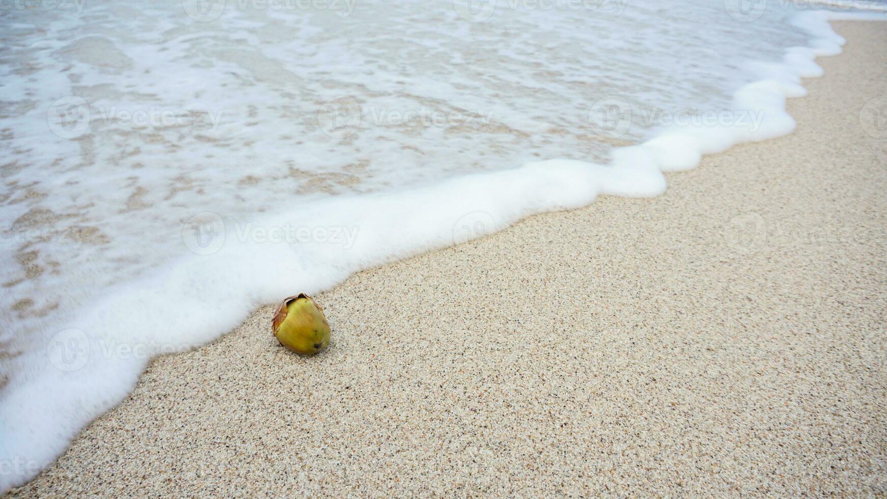 piccolo o giovane Noce di cocco su il sabbia colpire di onde di blu mare acqua con schiuma. Visualizza bellissimo tropicale spiaggia con onde, sabbia spiaggia e su marina spiaggia nel Kalianda, lampada. immaturo Noce di cocco su sabbia foto