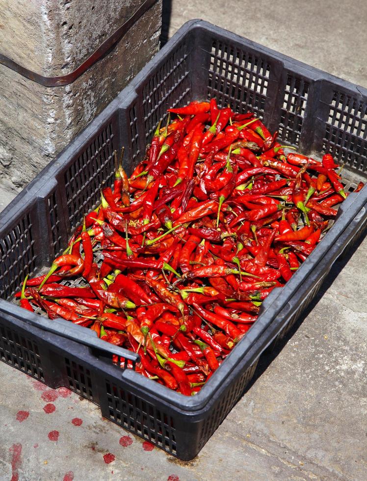 molti peperoncino rosso in scatola di carta in thailandia? foto