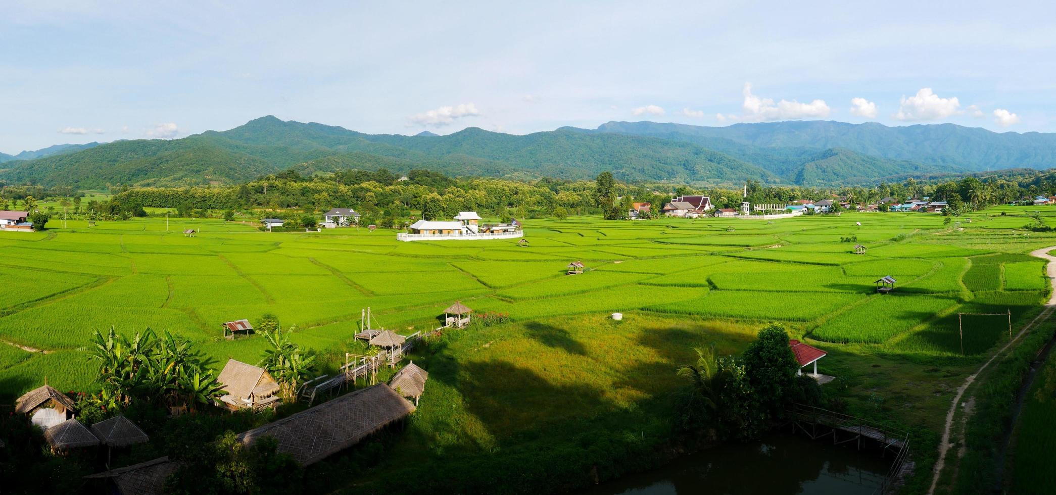 paesaggio del campo verde nella stagione delle piogge bellissimo villaggio nella valle foto