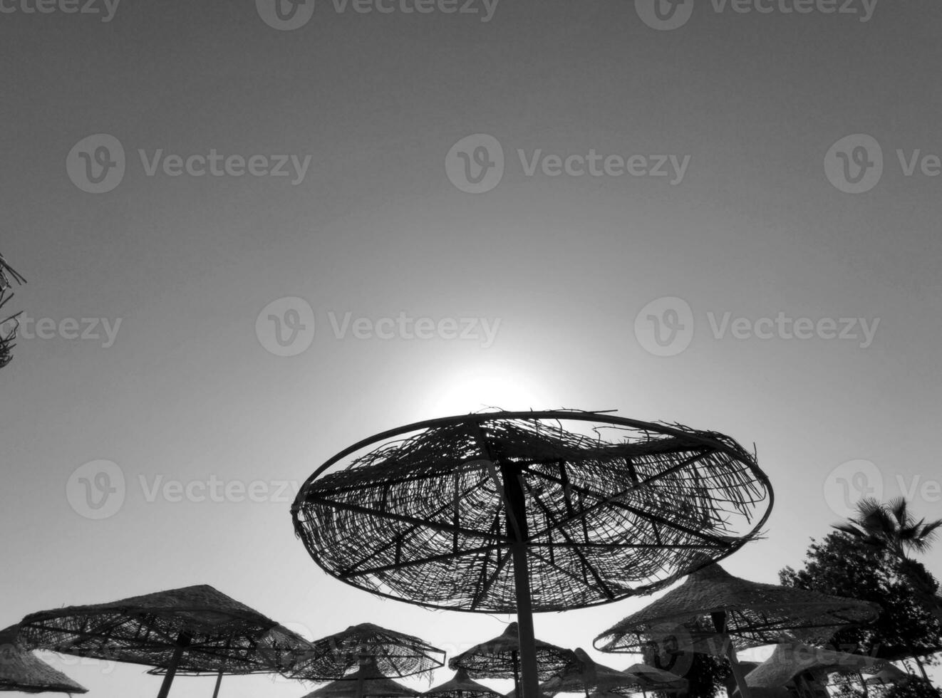 spiaggia ombrelli a il Egitto Hotel ricorrere foto