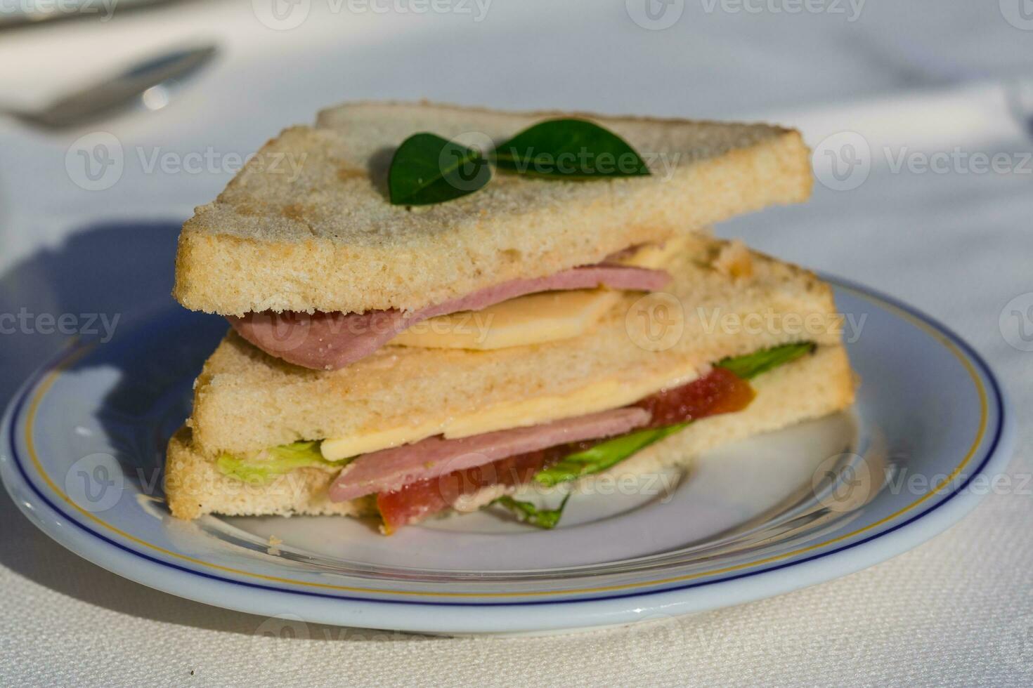 panino al prosciutto foto