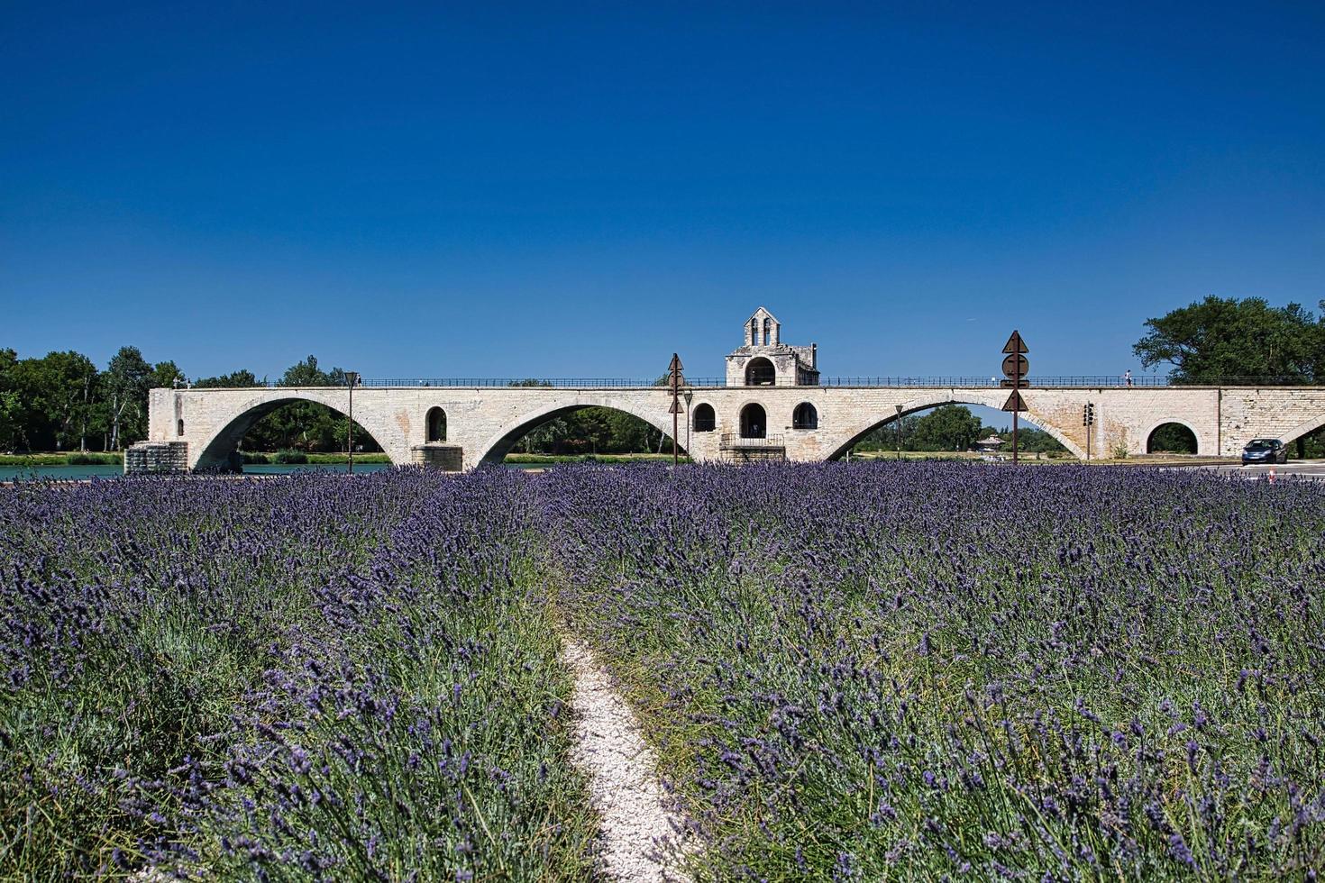 sur le pont d'avignon, nel sud della Francia foto