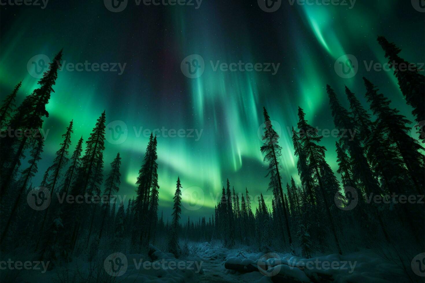 verdeggiante aurora Borealis grazie il settentrionale leggero foresta e cielo ai generato foto