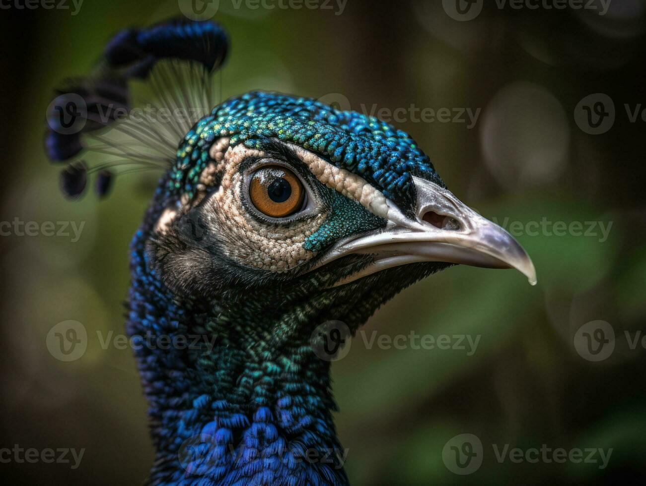 pavone uccello ritratto ai generato foto