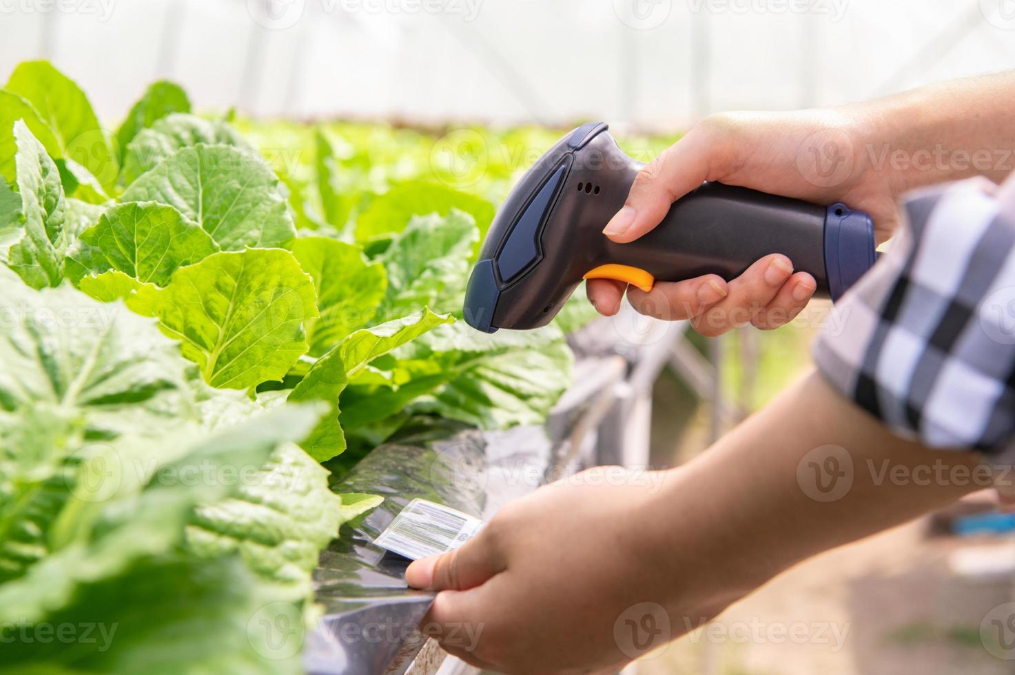 contadino moderno che controlla verdura biologica con scanner di codici a barre foto